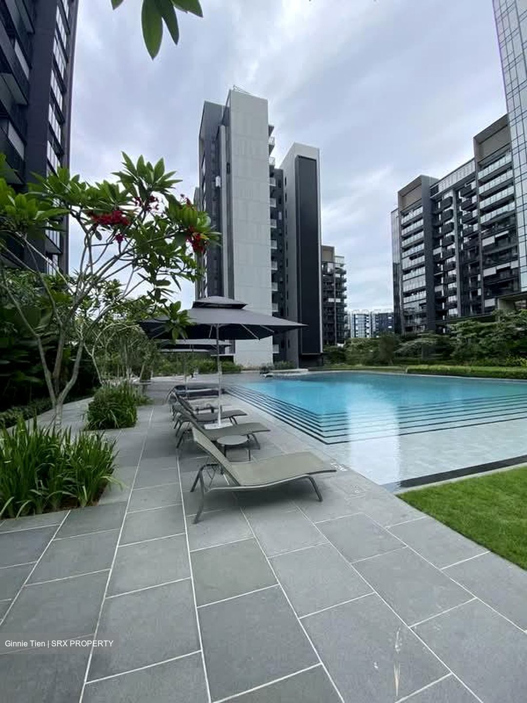 Leedon Green (D10), Condominium #552548851